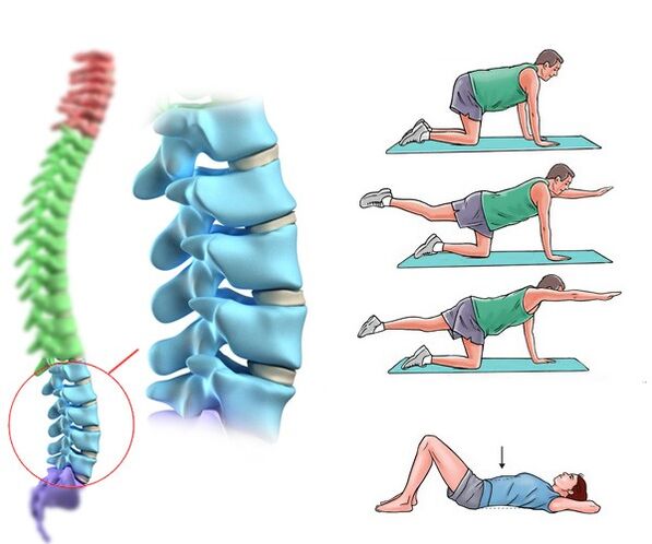 Fysiotherapie en massage